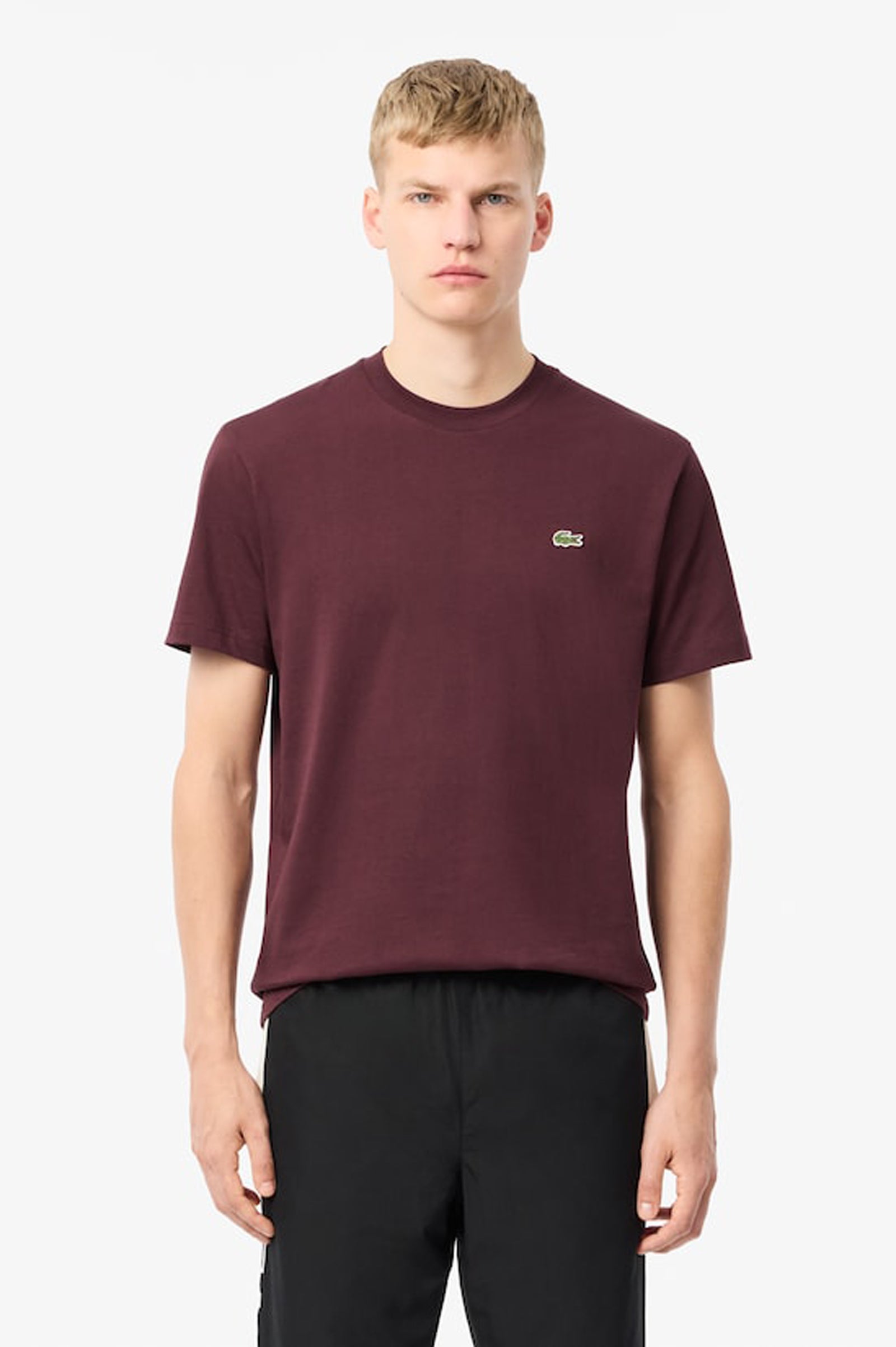 Lacoste Cotton T shirt