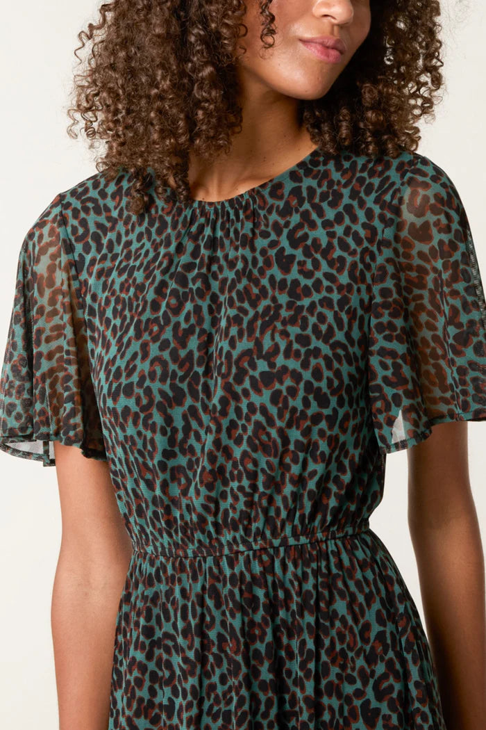 Nova of London Flutter Sleeve Round Neck Animal Dress