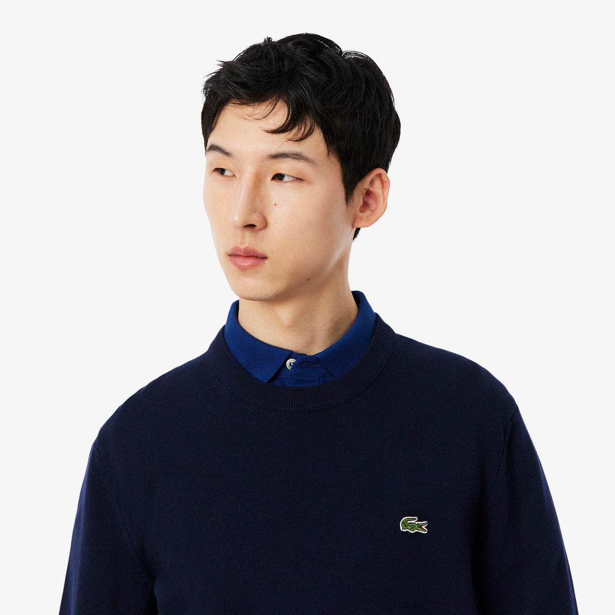 Lacoste Monochrome Crew Neck Cotton Sweater